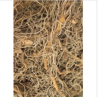 入地蜈蚣、水娱蚣、七指蕨、七叶一枝花|一淘