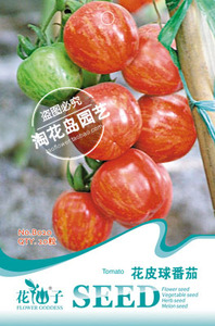合集\/番茄种阳台种菜花仙子种子樱桃番茄果实