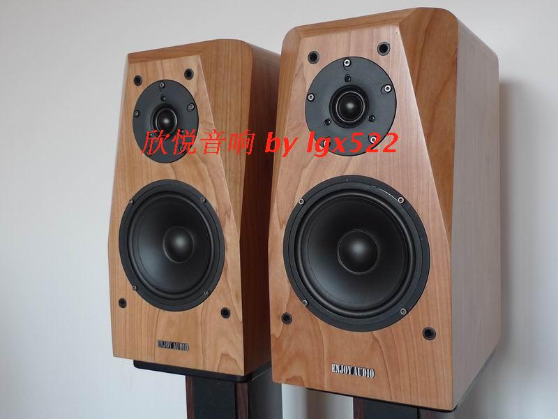 炎黄六号 超值6.5寸HiFi音箱 Vifa\/威发DX25+南