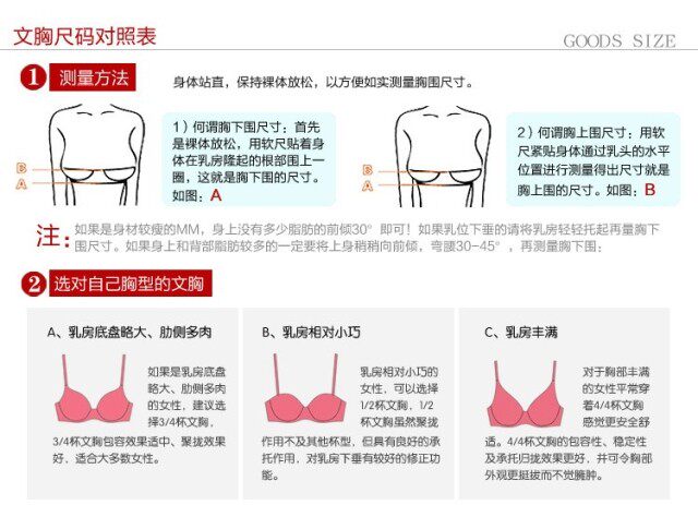 <em>文胸</em> 内裤 塑身衣 塑裤 腰背夹 <em>国际标准尺码</em>表
