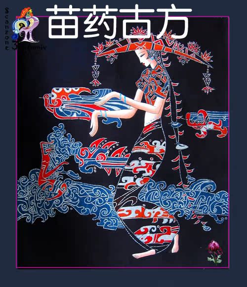 贵州苗药 民间老中医 接骨药 骨折 骨伤 外敷药