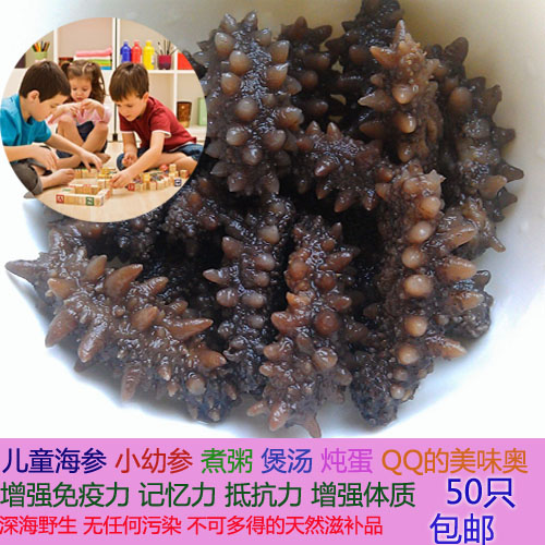 【儿童海参】野生儿童原货俄罗斯野生海参海生姜加橙皮图片