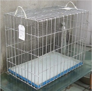 大狗上飞机托运 机场标准标钢筋笼 空运宠物必