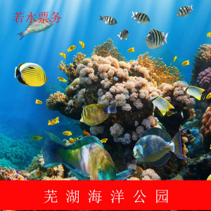 芜湖大白鲸海洋公园门票\/芜湖海洋馆\/新华联海