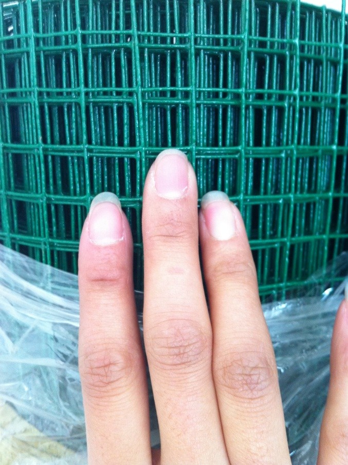 特价浸塑铁丝网家禽养殖网养鸟网防鼠网铁丝网