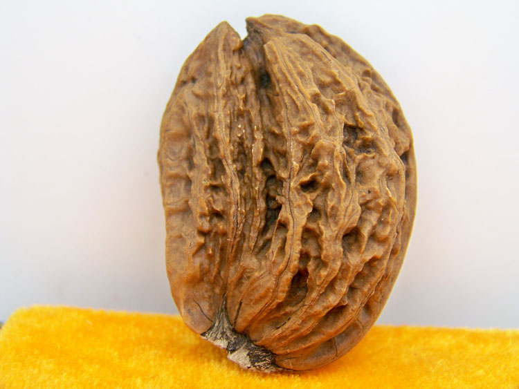 生文玩山核桃 楸子秋子 螃蟹爪 异形 配对单只