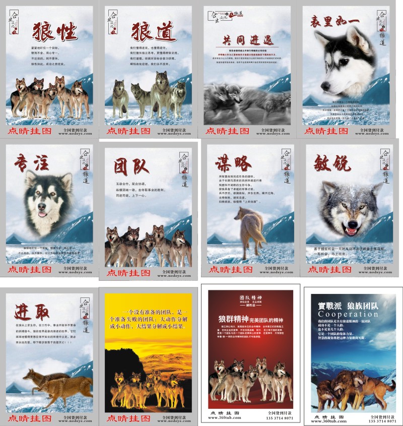 狼文化狼性文化标语狼性文化狼文化狼的文化图