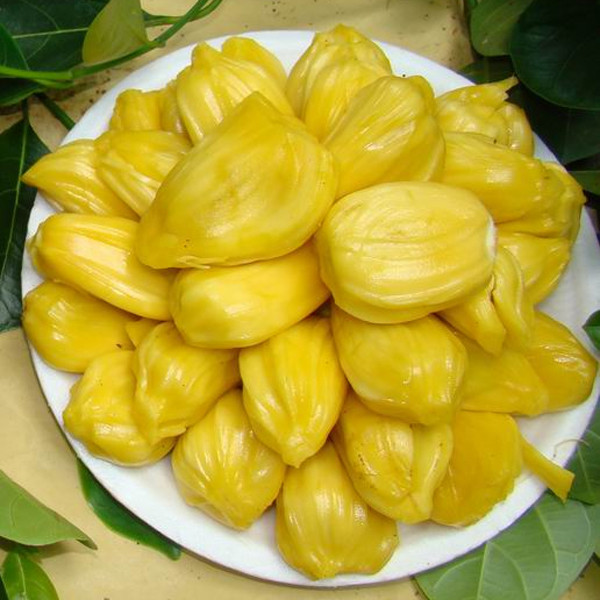 厂家直销1312菠萝蜜香精(大树菠萝)用于饮料、