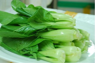 蔬菜种子油菜上海青四季可播种|一淘网优惠购