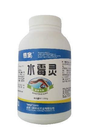 鳝宝水霉灵 治疗水霉病 烂尾病 黄鳝药品 水霉灵