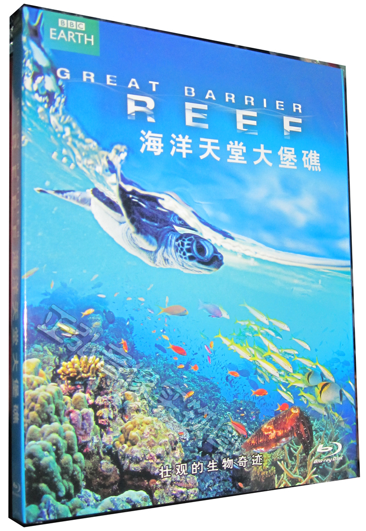 【正版】BBC纪录片 海洋天堂大堡礁 BD50 高