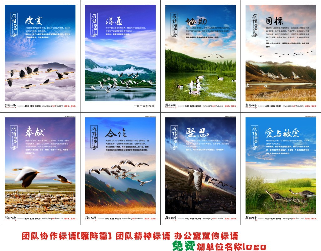 雁阵挂图 团队协作标语 团队合作宣传标语 办公