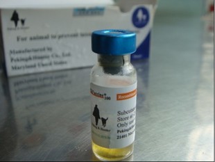 正品 北京派克英 犬猫弓形虫疫苗 预防弓形虫 支