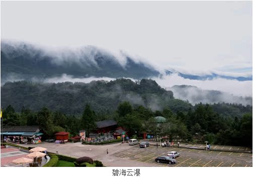 碧峰峡门票 野生动物园 正价150 景区直销 现场