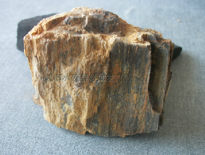 成都水族器材批发水族鱼缸草缸造景树化石木化