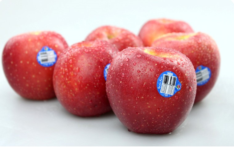 【东北果园】美国顶级红玫瑰苹果进口有机新鲜