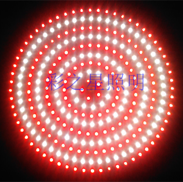 彩之星LED 猪肉灯 肉菜灯生鲜灯 烧腊灯果菜灯