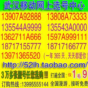 13995666512 中国移动武汉网上选号 武汉手机