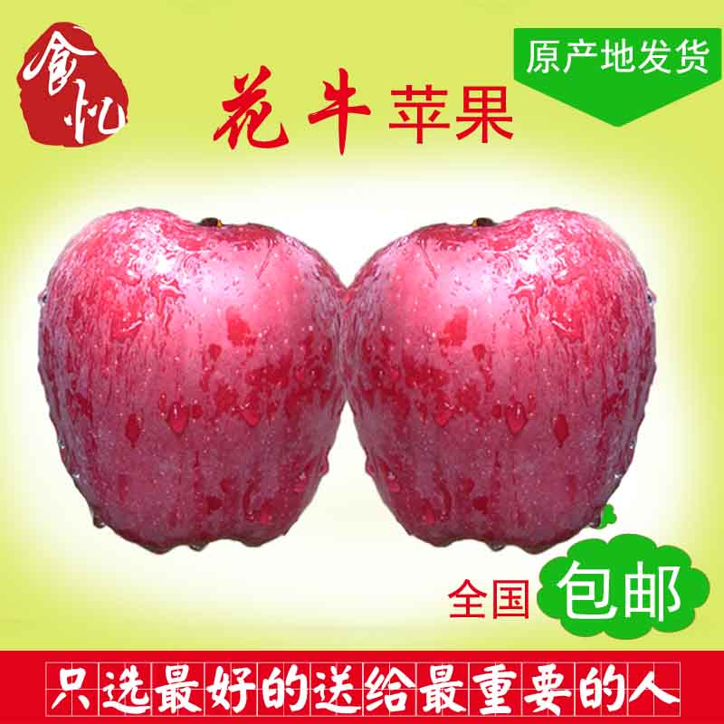 甘肃天水花牛红苹果 蛇果新鲜水果粉苹果 宝宝