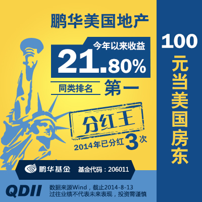 鹏华美国房地产股票型基金QDII 206011基金理