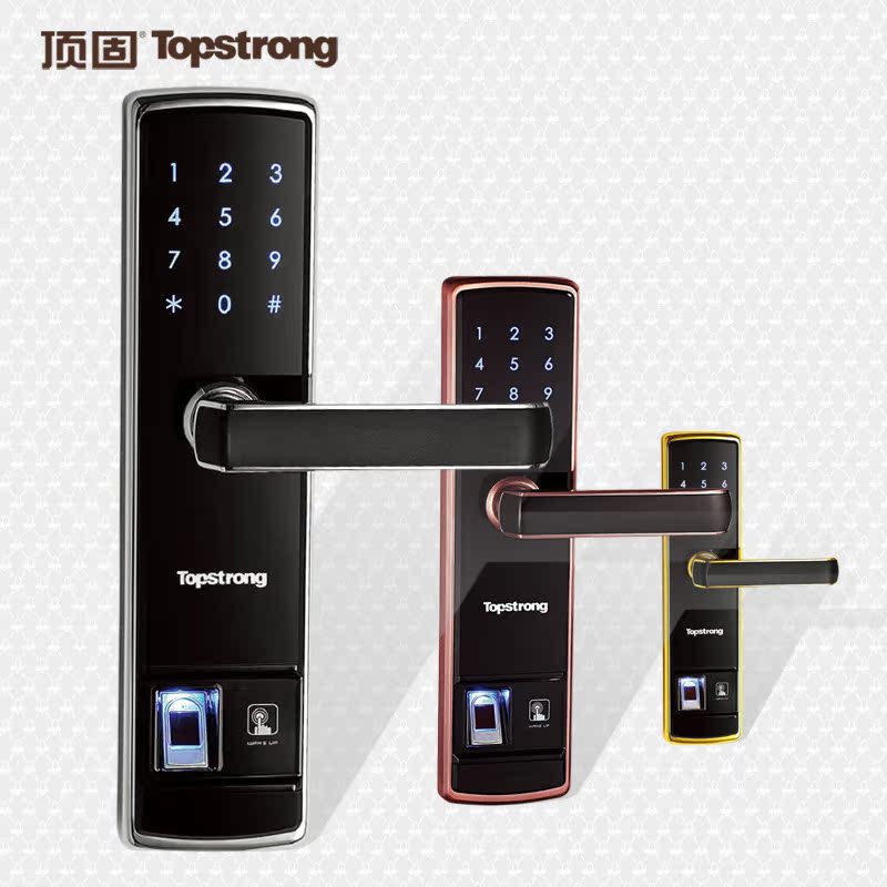 顶固CS6811-ZF1500指纹锁密码锁 电子智能锁