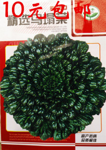 10元包邮 秋播易种蔬菜种 青菜黑菜奶白菜 精选乌塌菜种子10克\/包优惠价4.49元,秋播易种蔬菜种精心为您挑选-麦尔网购导航-网购宝