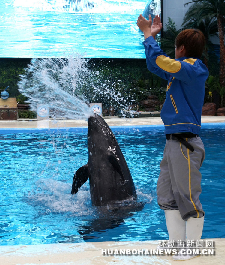 天津极地海洋馆门票 天津极地海洋馆 电子票 【