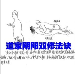 阴阳双修法诀 道教书籍乾坤道家气功秘法术夫