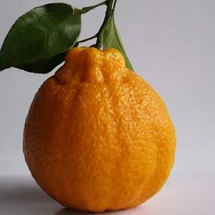 新鲜不知火丑八怪柑橘自然成熟农家现摘发货无