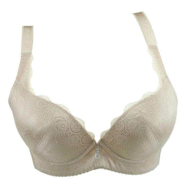 专柜正品<em>戴芝蒂</em>2012秋冬新款调整<em>聚拢型文胸</em>