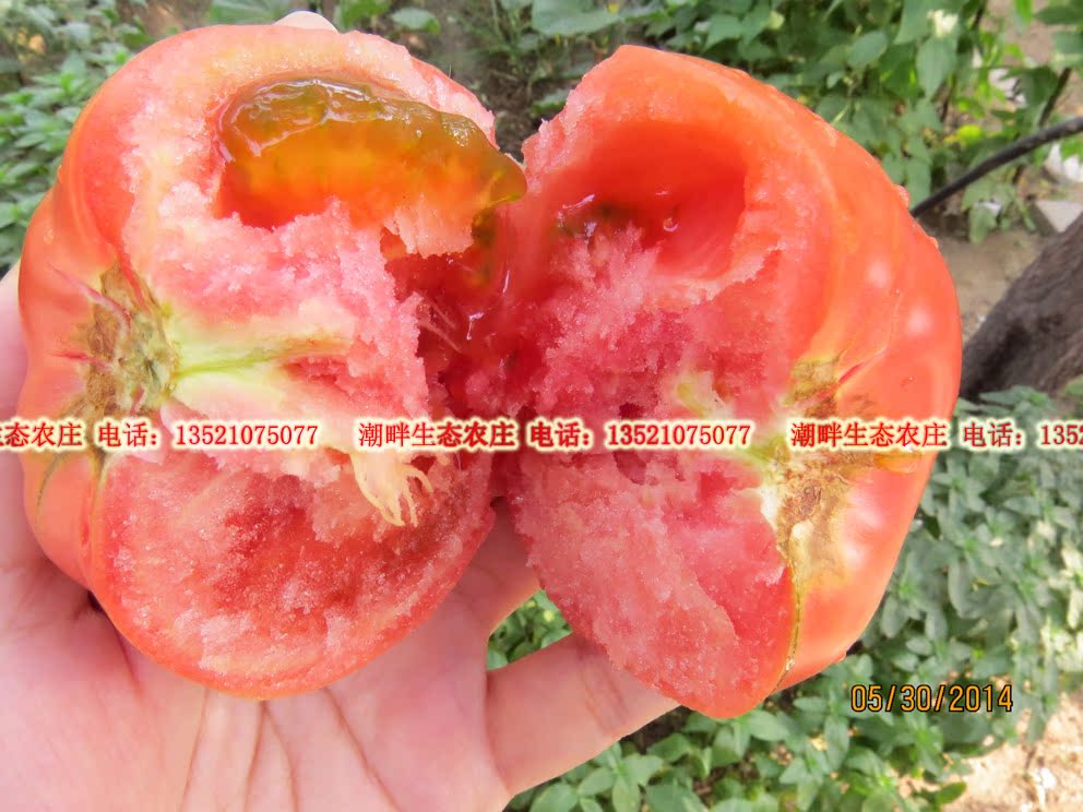 有机肥露天种植 无农药化肥激素有机蔬菜 新鲜