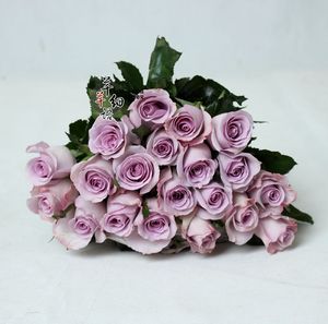 尽情绽放 藕荷色海洋之歌玫瑰 生日爱情瓶插花