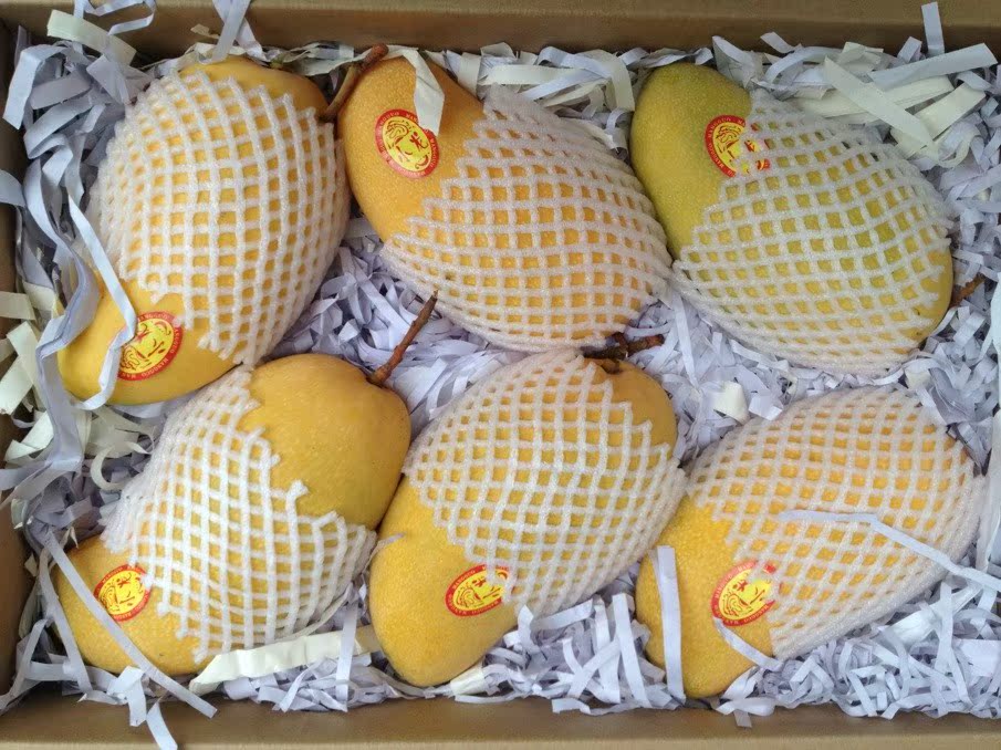 新鲜水果 台湾水仙芒果 一箱6-10只|一淘网优惠