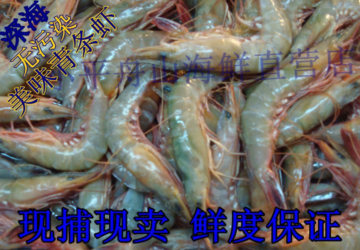 新鲜舟山野生青条虾 海虾 现捕现卖 让利大促销|一淘网优惠购|购就省钱