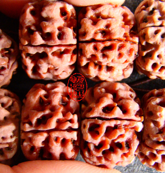 恒河沙最强连肉纹藏式大金刚菩提子紫红皮手串