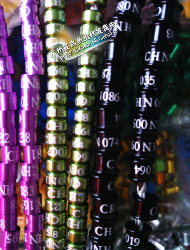 珍珠、<em>十姐妹</em>文鸟脚环,虎皮鹦鹉、牡丹鹦鹉脚