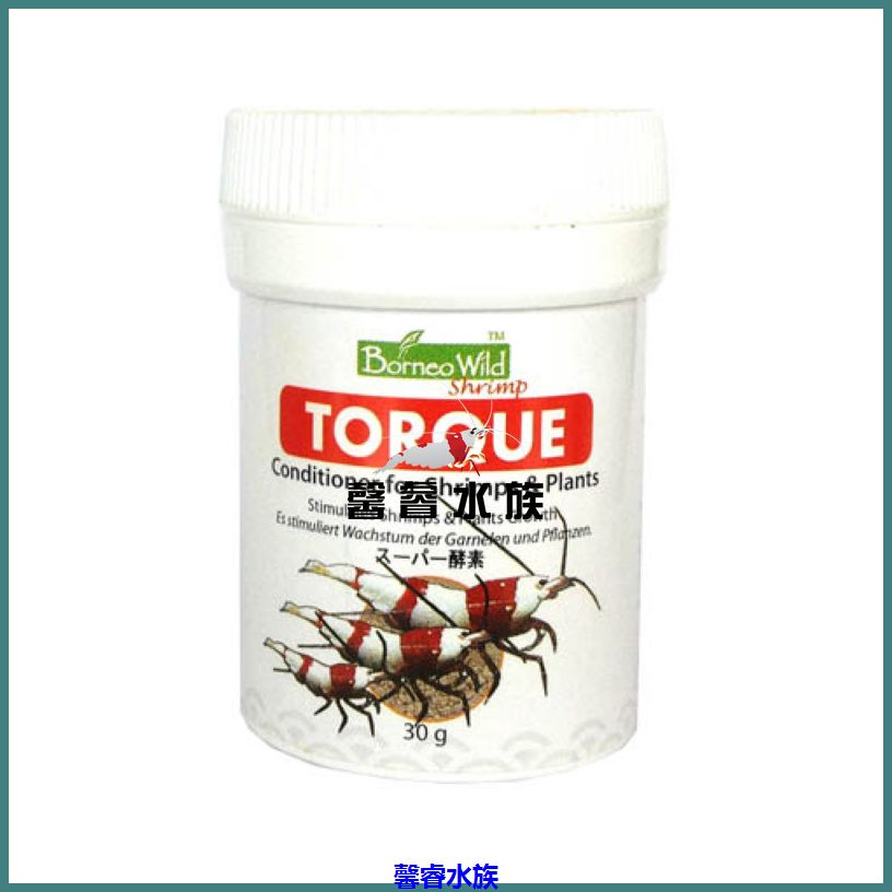新加坡进口BORNEOWILD TORQUE 水晶虾 虾