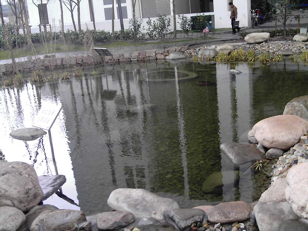 防渗膜-不用水泥建池 DIY水池 鱼池 龟池 防水卷