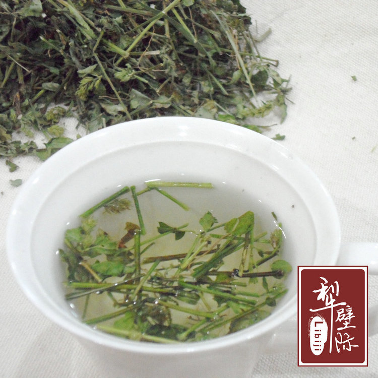 浙江景宁犁壁际野生爵床草 小青茶 清热解毒 利