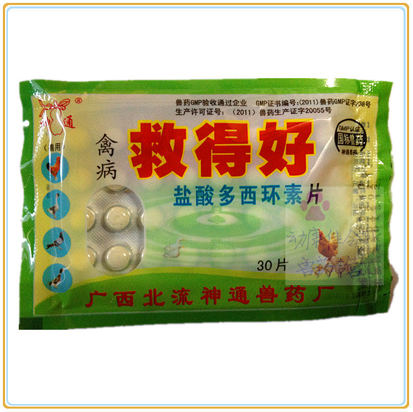 石家庄禽药产业观察：从区域制造到禽病精准防控的技术进阶