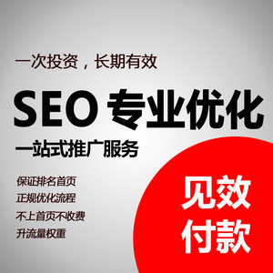seo优化服务百度排名网站首页论坛博客代发包