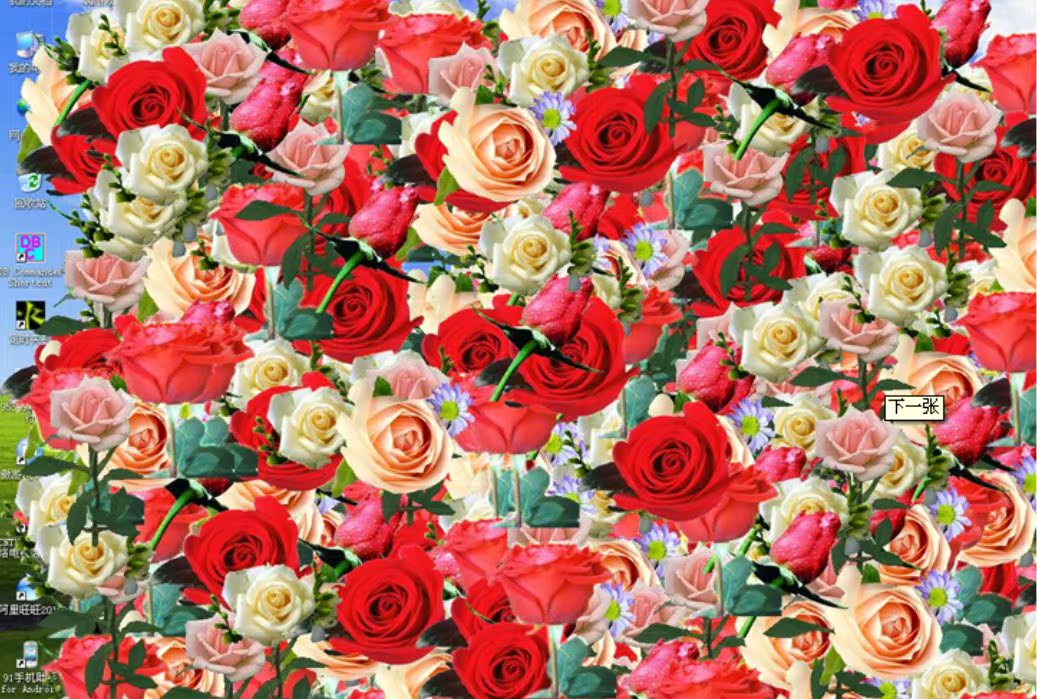 玫瑰花软件 桌面开满玫瑰花软件 999朵玫瑰花