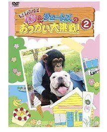 [阿笨与阿占][狗狗猩猩大冒险][粤语发音中字]影