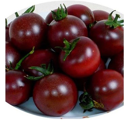 黑珍珠小番茄种子 樱桃番茄 赚钱的黑番茄 观光