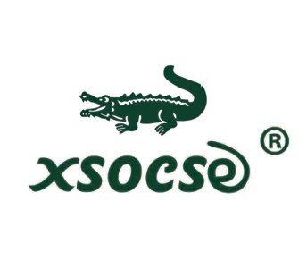 XSOCSE 第25类 男女服装袜鞋注册R商标转让