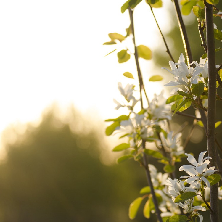 邮费专拍 EMS 顺丰 宅急送 货到付款 申通续加