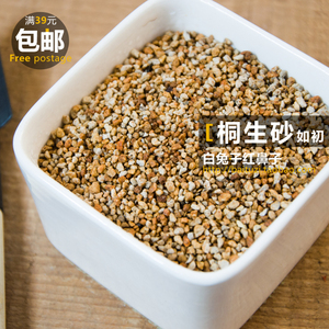 如初桐生砂兰花仙人掌多肉进口播种盆栽培介营