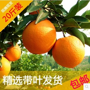 重庆奉节脐橙20斤精品装新鲜水果好吃的橙子