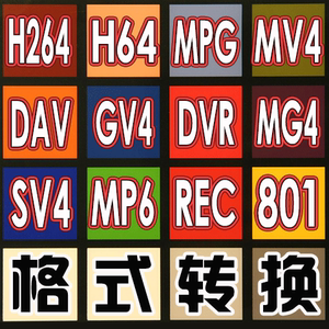 监控视频录像文件 H264 MPK SV4 DAV IFV R