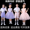 六一儿童合唱演出服女童，蓬蓬纱裙幼儿园舞蹈小学生，合唱表演服
